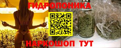 apvp Моздок