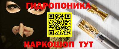 индика Мариинск