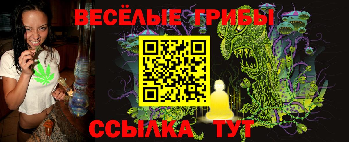 Псилоцибиновые грибы GOLDEN TEACHER Улан-Удэ